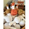 Herbal Stamp – Ginger Lemongrass – Pack of 2 x
