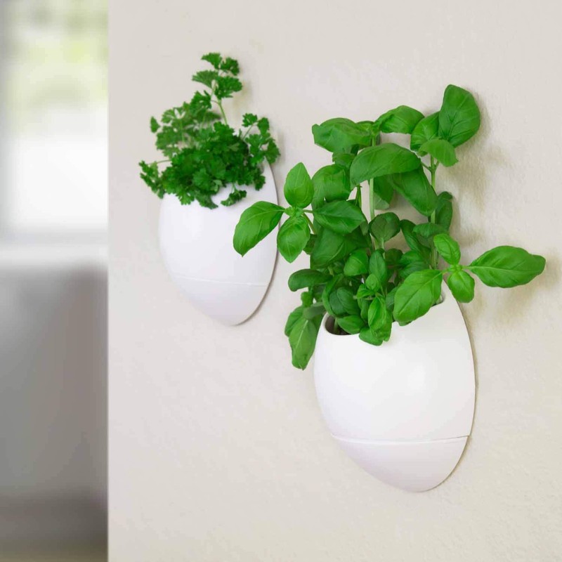 Thumbs Up Eco Pod Self-Watering Herb Pot, White