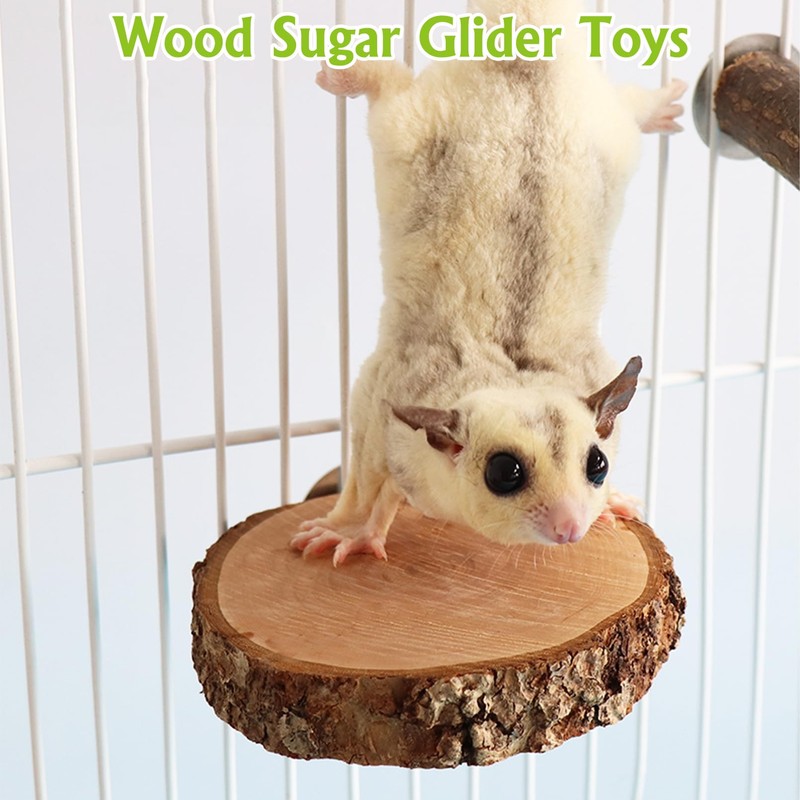 BNOSDM 6 Packs Wood Sugar Glider Toys Wooden Sugar Glider