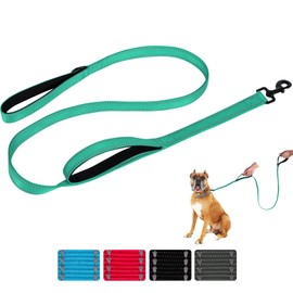 Aepeasti Dog Leash for Medium to Large Dogs with Two Padded Handles 5FT/6FT, Double Handle Dog Leash, Reflective Training Lead, Durable Traffic Leashes(6FT,Green)