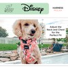 Sassy Woof Dog Adjustable Harness - Disney's Mulan - M,
