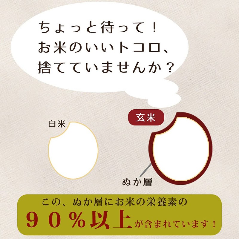 食べる 飲める 米ぬか パウダー ぬかだけん 100g 5袋セット 無添加 無着色 無香料
