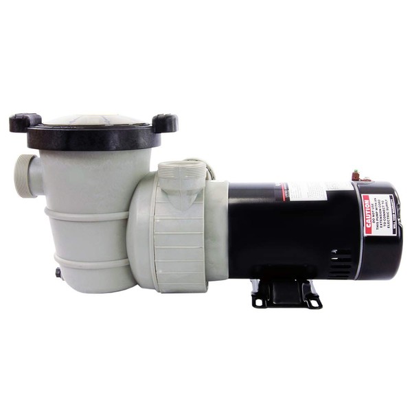 Rx Clear Dorado 1-1/2 HP Dual Port Pump | Above-Ground