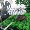 MHLLGN 2 Pack Turtle Brush Each with 3 Suction Cups