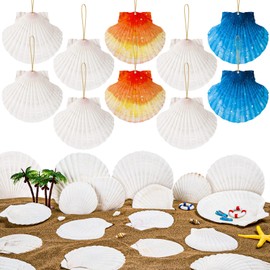 JMZYJZH 40 Pcs Large Scallop Shells for Crafts, 3.3 Inch Natural White Sea Shells for Crafting, Clam Shells Bulk for DIY Craft Painting Ocean Themed Party Decoration