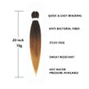 Pre Stretched Braiding Hair 20 Inch Ombre Braiding Hair Extensions