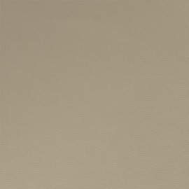 Exclusive Home Indoor/Outdoor Solid Cabana Grommet Top Curtain Panel, Taupe, 54x96, 2 Piece