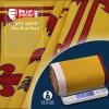 Anley Rip-Proof Double Sided 3-Ply Scotland Rampant Lion Flag 3x5