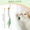 3 of Ni Cat Toy, Cat Toy, Popular, Vegetable, Small)