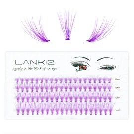 LANKIZ Cluster Lashes for DIY Eyelash Extension, 20D Purple Individual Lashes, 8-14mm Mix False Mink Eyelashes Colored Lash Extension at Home