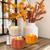 3PCS Fall Flameless Pumpkin Candles - Battery-Powered Flickering Candle with