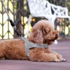 Plutus Pet No Pull Dog Harness with Breathable Mesh Padded,