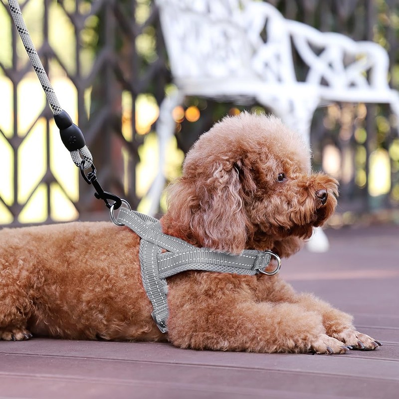 Plutus Pet No Pull Dog Harness with Breathable Mesh Padded,