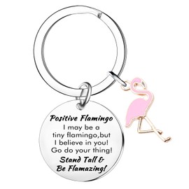 Tihnvk Positive Flamingo Gifts Flamingo Keyring For Friends Coworker Emotional Support Flamingo Gifts For Her
