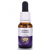 Living Essences Goddess Grasstree 15ml