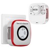 4-in-1 Carbon Monoxide Detectors & Gas Leak Detector, Carbon Monoxide