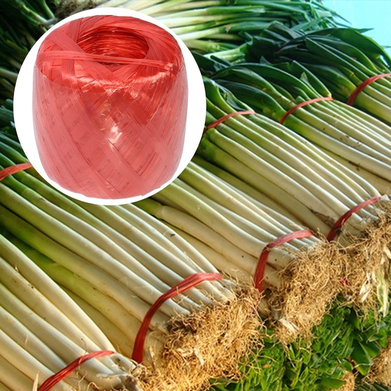 Polyester Nylon Plastic Rope Twine, Household Bundled for Packing Gardening