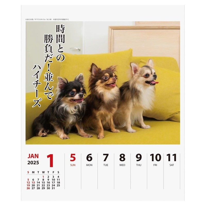 2025 Chihuahua Senryu (Weekly Turning) Calendar No. 025