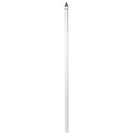 Campbell PVC Well Point 1-1/4 in. x 60 in. L
