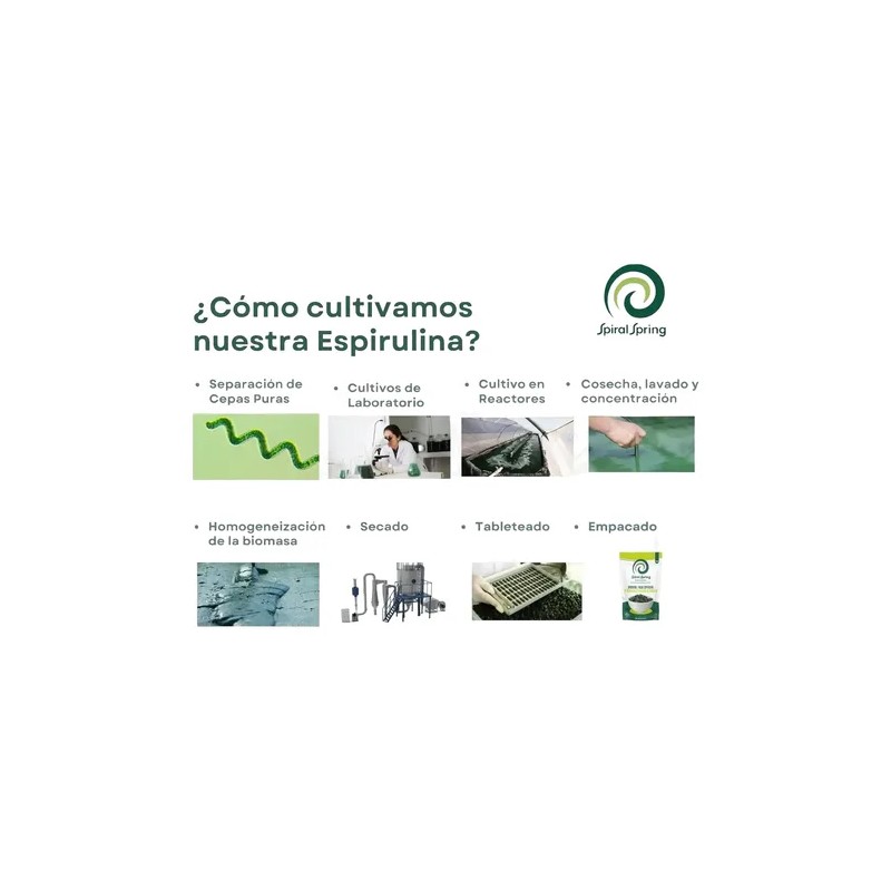 Alga Spirulina Máxima Orgánica 500 Bolitas Espirulina 3pack