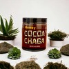 Zen Bear | Honey Cocoa Chaga | A Light Chocolate