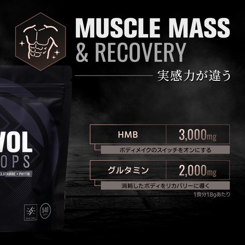 HALEO クレアチン クレアボルブラックOPS クレアピュア HMB アルギニン グルタミン ベタイン フィチン配合 540g