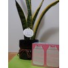 A Bonne X2 Boxes Yogurt Cream Soap Nano White Q10