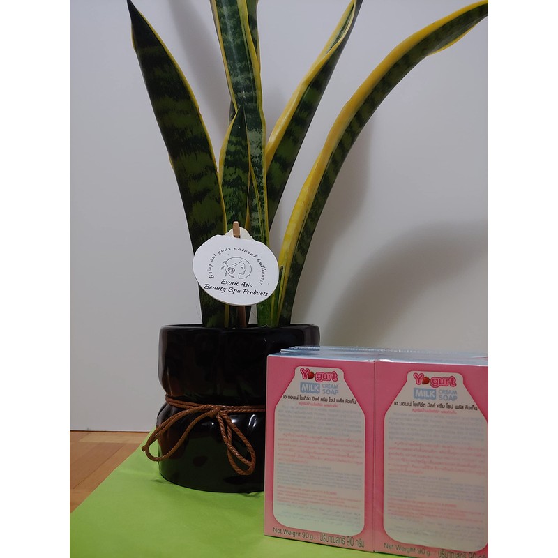 A Bonne X2 Boxes Yogurt Cream Soap Nano White Q10