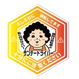 SignStore Hex-shaped Sticker 4.9 x 4.3 inches (12.5 x 11 cm) Multicolor Vinyl Made in Japan Waterproof car_natural_04 (Sandy Driver)