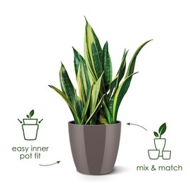 elho Brussels Diamond Round 16 - Flower Pot Indoor - 100% Recycled Plastic - Ø 15.8 x H 14.5 cm - White/White