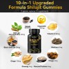 Nature Planet Pure Shilajit Gummies with Black Seed Oil -