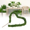 Natural Moss Pole Bendable Moss Plant Rod Plant Climbing Gardening