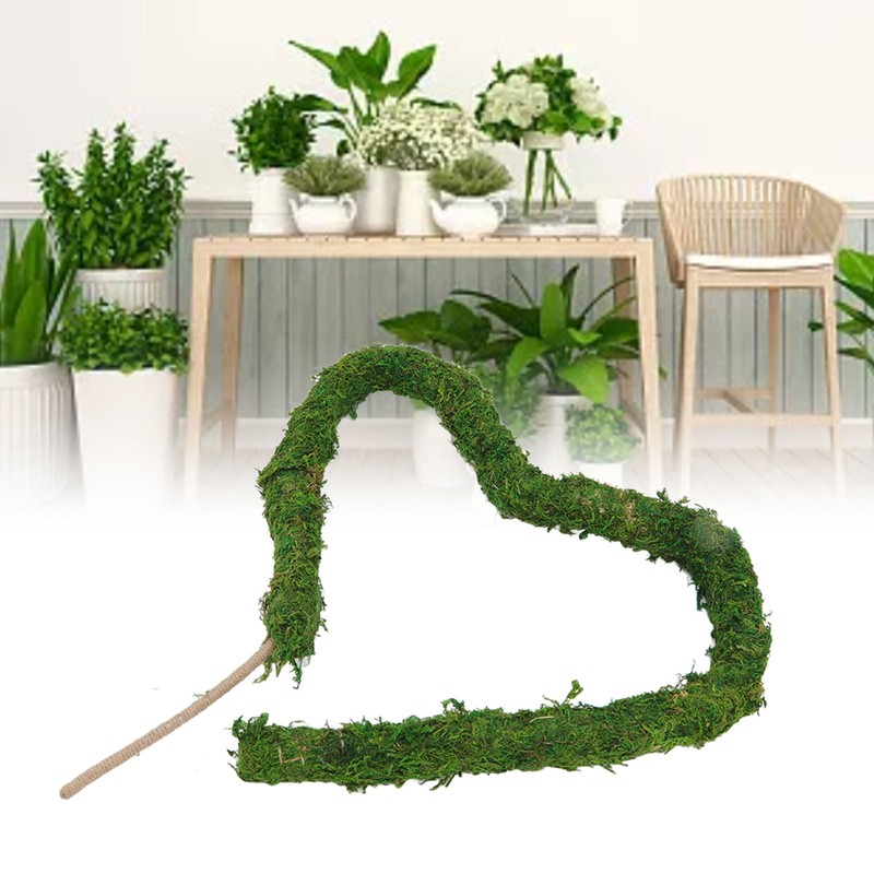 Natural Moss Pole Bendable Moss Plant Rod Plant Climbing Gardening