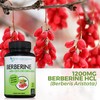 DOCTOR RECOMMENDED SUPPLEMENTS Berberine with Ceylon Cinnamon - 1200mg Berberine