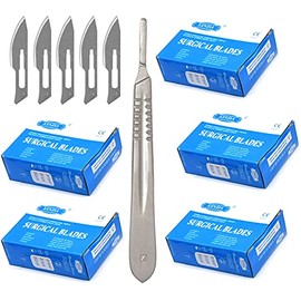 AAProTools 500 Scalpel Blades #24 for Surgi, Dermaplaning, Veterinary, Taxidermy, Arts & Crafts, More - Includes One Handle #4