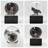 10010 Snow Globe Stock Exchange, Glass Globe Bull & Bear,