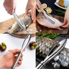 QHFlashbuy Fish Scaler, Stainless Steel, Professional Fish Scaler Scraper, Fish