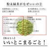 Organic Powdered Green Tea, 3.5 oz (100 g), Komaien Produced