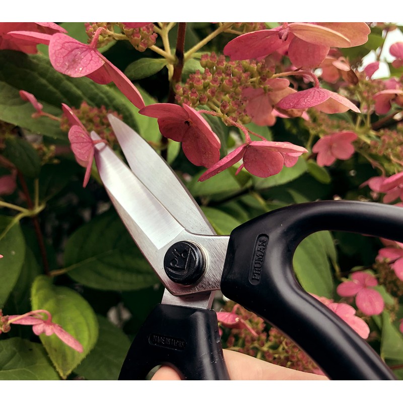 Tijeras japonesas de jardinería, longitud total de 7 pulgadas, para