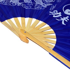 Medifier Chinese Kung Fu Tai Chi Fan Arts Dance/Practice Performance Bamboo Folding Fan Dragon And Phoenix blue background