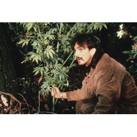 Grasalarm - Homegrown