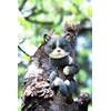 garden mile Novelty Cat Garden Animal Tree Peeker Novelty Garden