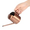 300ml Small Stainless Steel Watering Can Plant Flower Long Spout