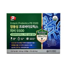 Enteric-soluble probiotics Phoebe 5500 120 capsules / 장용성 프로바이오틱스 피비5500 120캡슐x1박스 100억CFU 아연 유산균 장건강도움 17종 프리바이오틱스