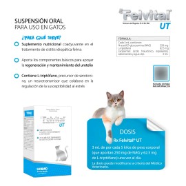 Holland Felvital Ut 100 Ml Gatos Salud Natur Tracto Urinario