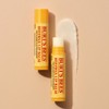 Burt's Bees [Burt's Bees] Moisturizing Lip Balm 4.25g Choose 1 out of 9 - Honey / [버츠비] 모이스춰라이징 립 밤 4.25g 9종 중 택1 - 허니