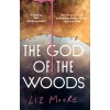 The God of the Woods by Liz Moore, Paperback