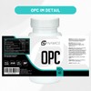 OPC Traubenkernextrakt – 500 mg pro Kapsel – Hochdosiert & Vegan