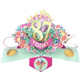 Happy 87th Birthday 87 Today Pop-Up Greeting Card Love Kate's Pop Up Cards Her POP215MC87