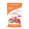 Morlife Complete Gut Restore Berry Melon 200g